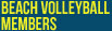 Beach VolleyBall